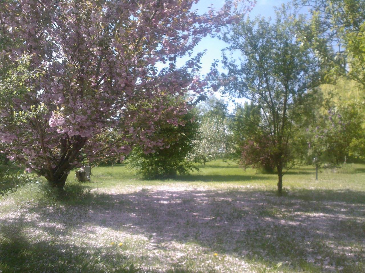 Les Reves De Flamboin Bed and Breakfast Gouaix Εξωτερικό φωτογραφία