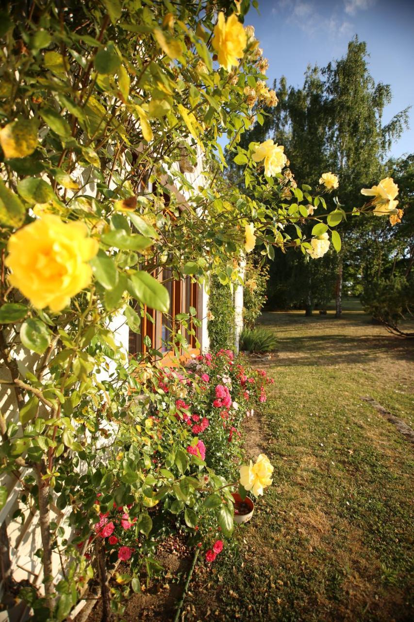 Les Reves De Flamboin Bed and Breakfast Gouaix Εξωτερικό φωτογραφία